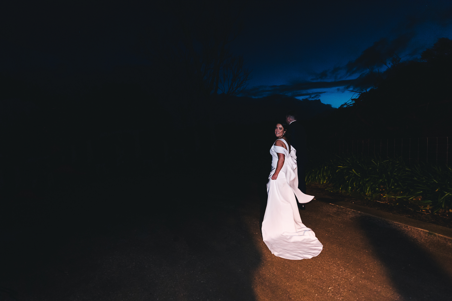 Wild Romantic Photography & Videography 
