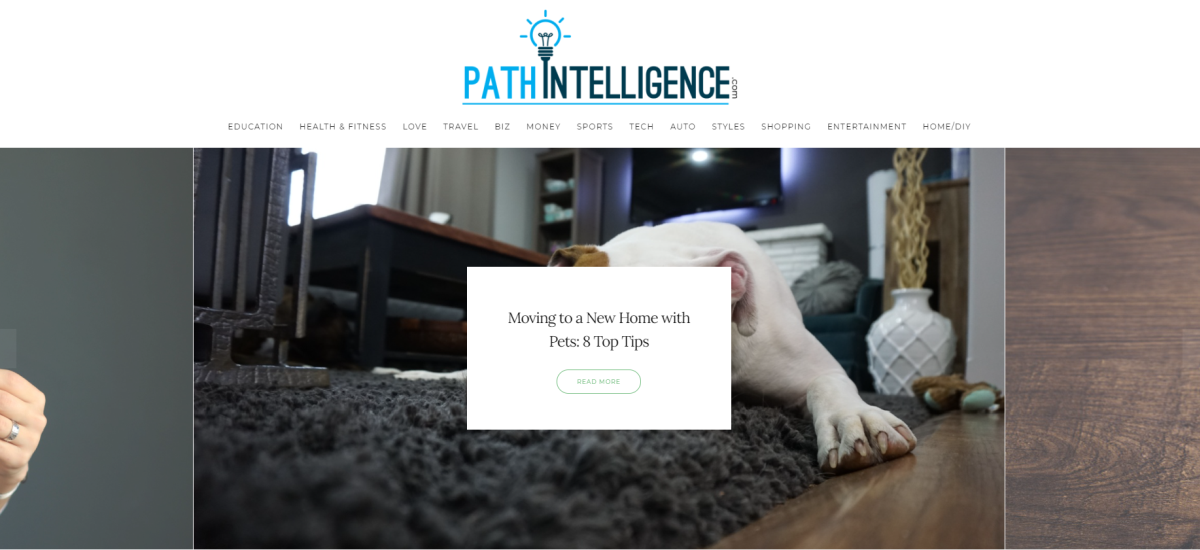path intelligence